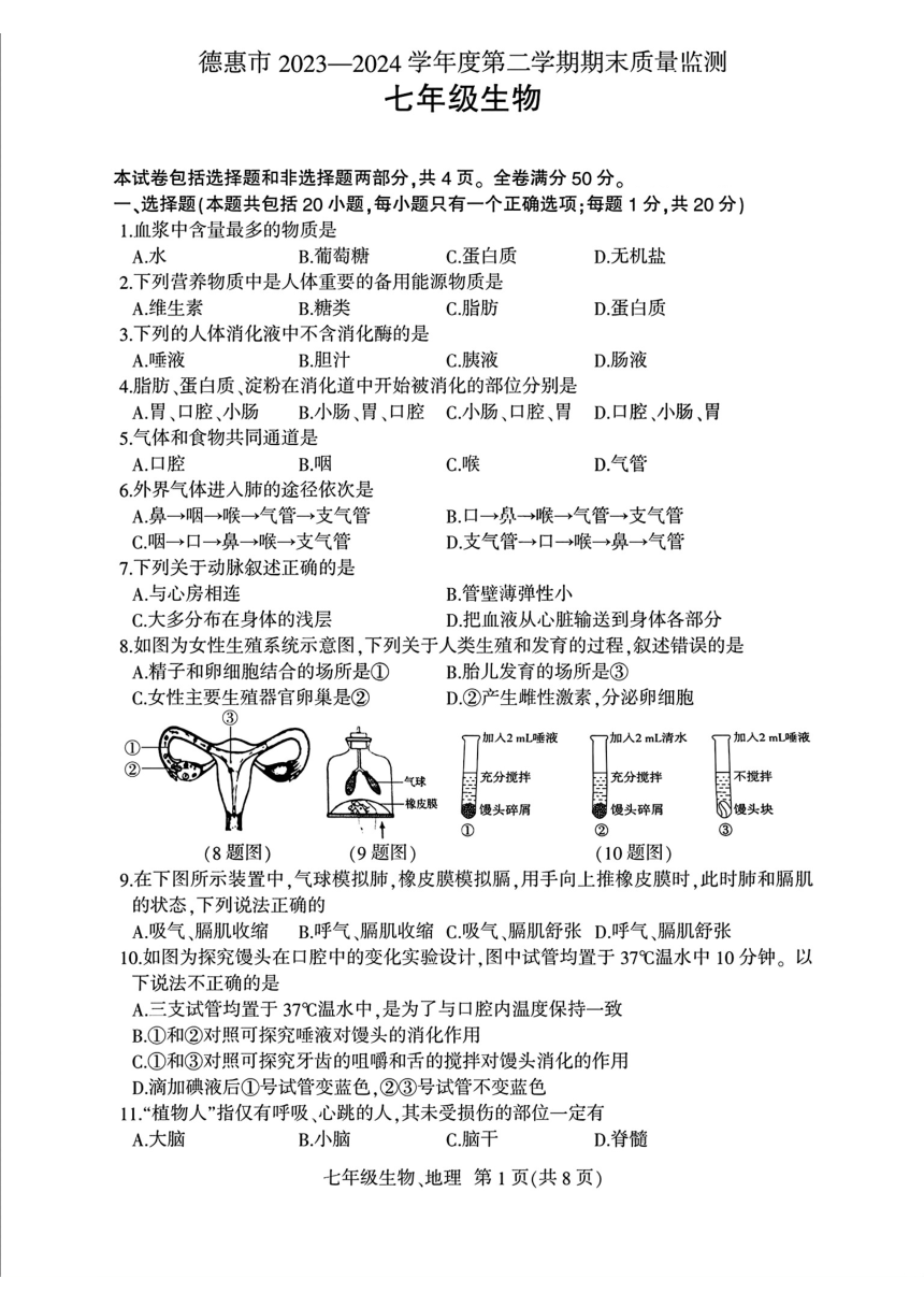 初中文理综