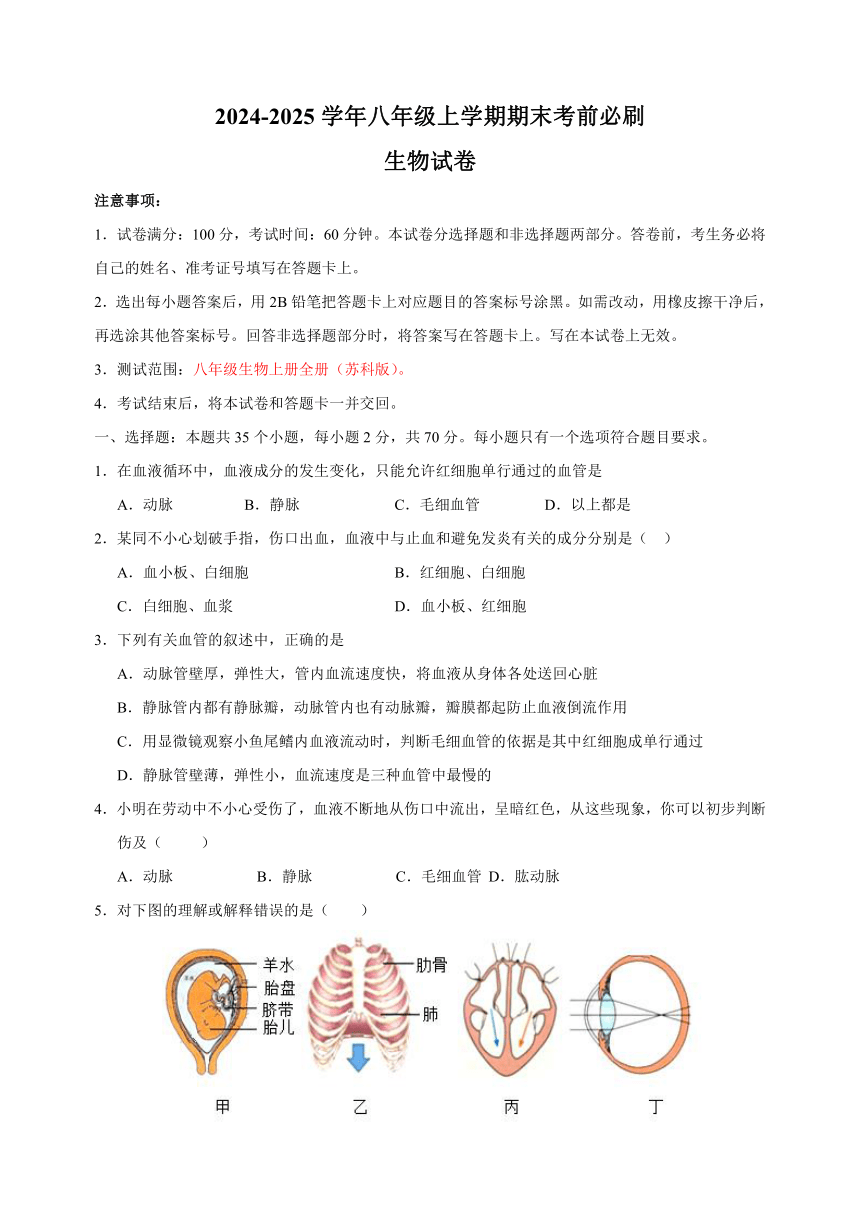 初中生物