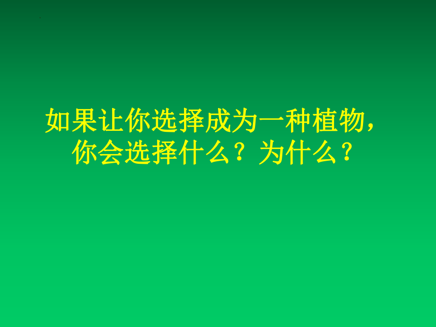 小学美术