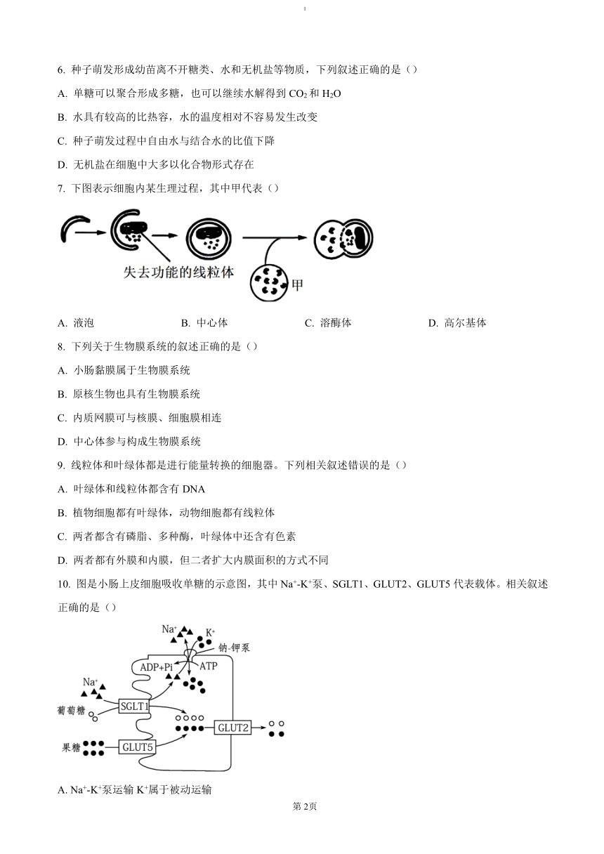 高中生物
