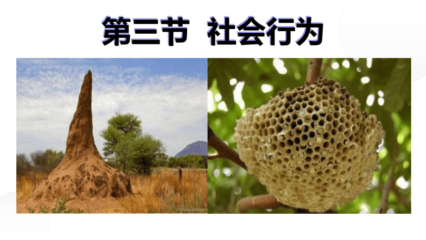 初中生物