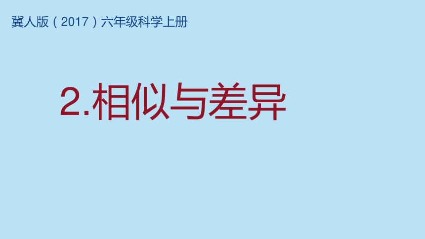 小学科学